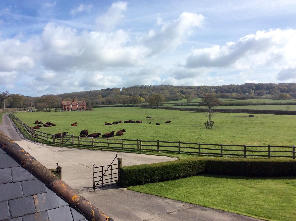 Moors Farmhouse Bed & Breakfast East Knoyle Exterior photo